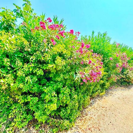 Tetraktys Estate Beachside Υδωρ Ágios Matthaíos Extérieur photo