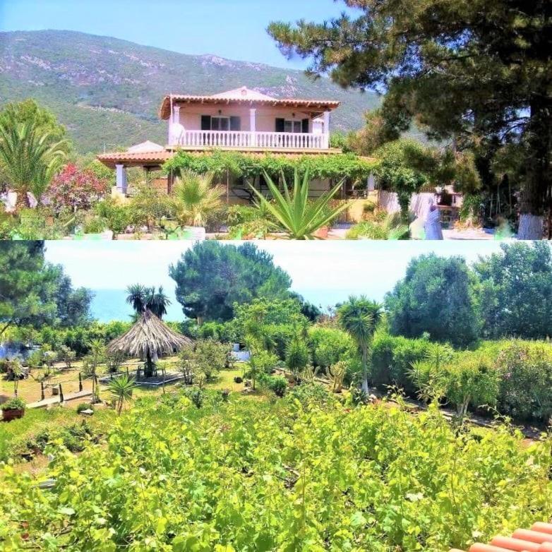 Tetraktys Estate Beachside Υδωρ Ágios Matthaíos Extérieur photo