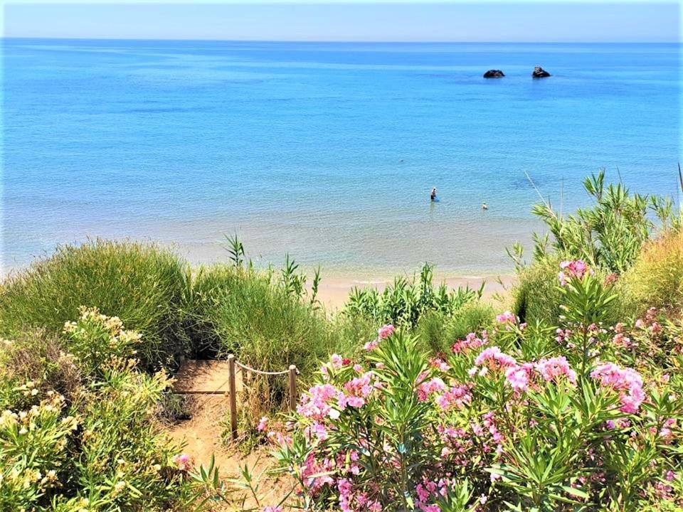 Tetraktys Estate Beachside Υδωρ Ágios Matthaíos Extérieur photo