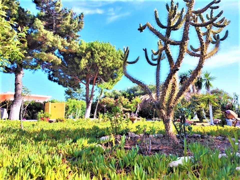 Tetraktys Estate Beachside Υδωρ Ágios Matthaíos Extérieur photo