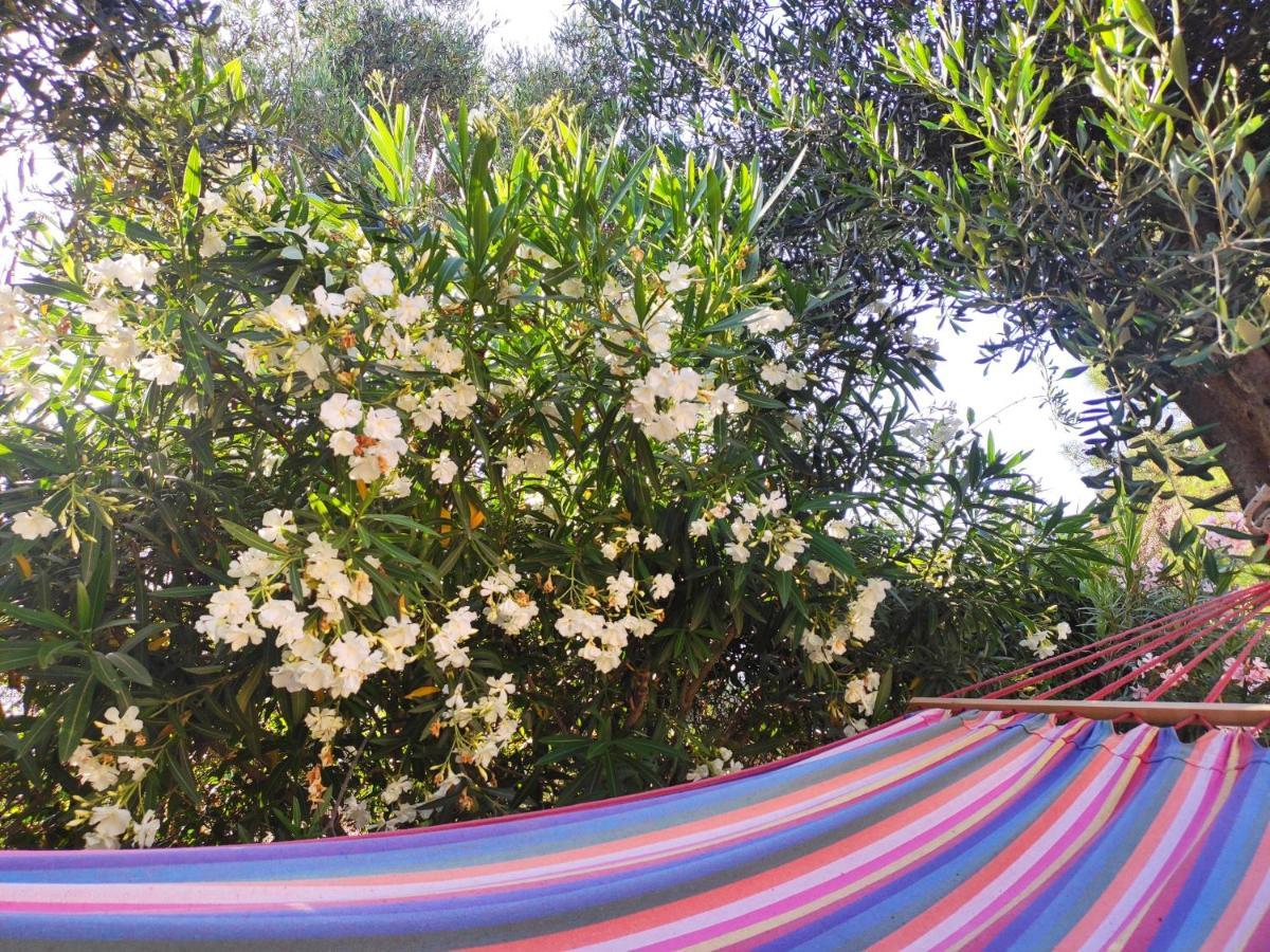 Tetraktys Estate Beachside Υδωρ Ágios Matthaíos Extérieur photo